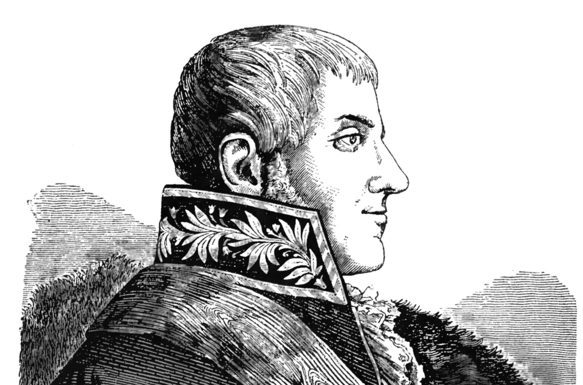 Rysunek przestawiający profil mężczyzny z bokobrodami w mundurze z wysoko uniesioną stójką