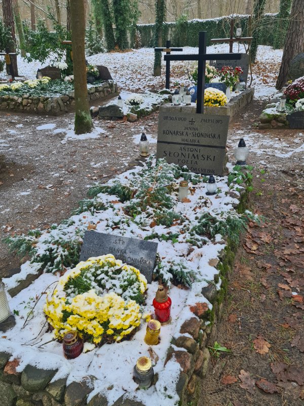 Zdjęcie przedstawia ośnieżony grób z czarnym metalowym krzyżem katolickim, blaszaną tablicą. Na grobie żółte chryzantemy i znicze.