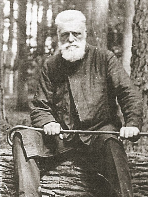 Zdjęcie przedstawia Władysława Zamoyskiego w podeszłym wieku, z długą siwą brodą, z siwymi włosami ostrzyżonymi „na jeża".  Hrabia siedzi na zwalonym pniu na tle lasu. 