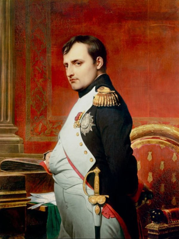Portret przedstawia dość młodego Napoleona w biało-czarnym mundurze, ze szpadą przy boku.  