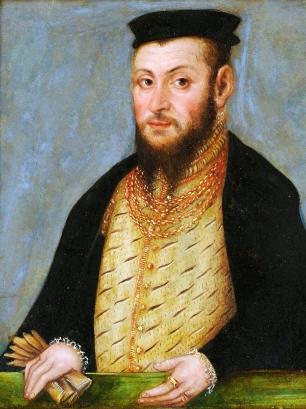 Zygmunt August jest w średnim wieku, ma ciemne oczy, ciemną brodę, rumiane policzki. Na głowie - czarny beret. Na palcach lewej ręki złote pierścienie, a w prawej trzyma żółte rękawiczki.