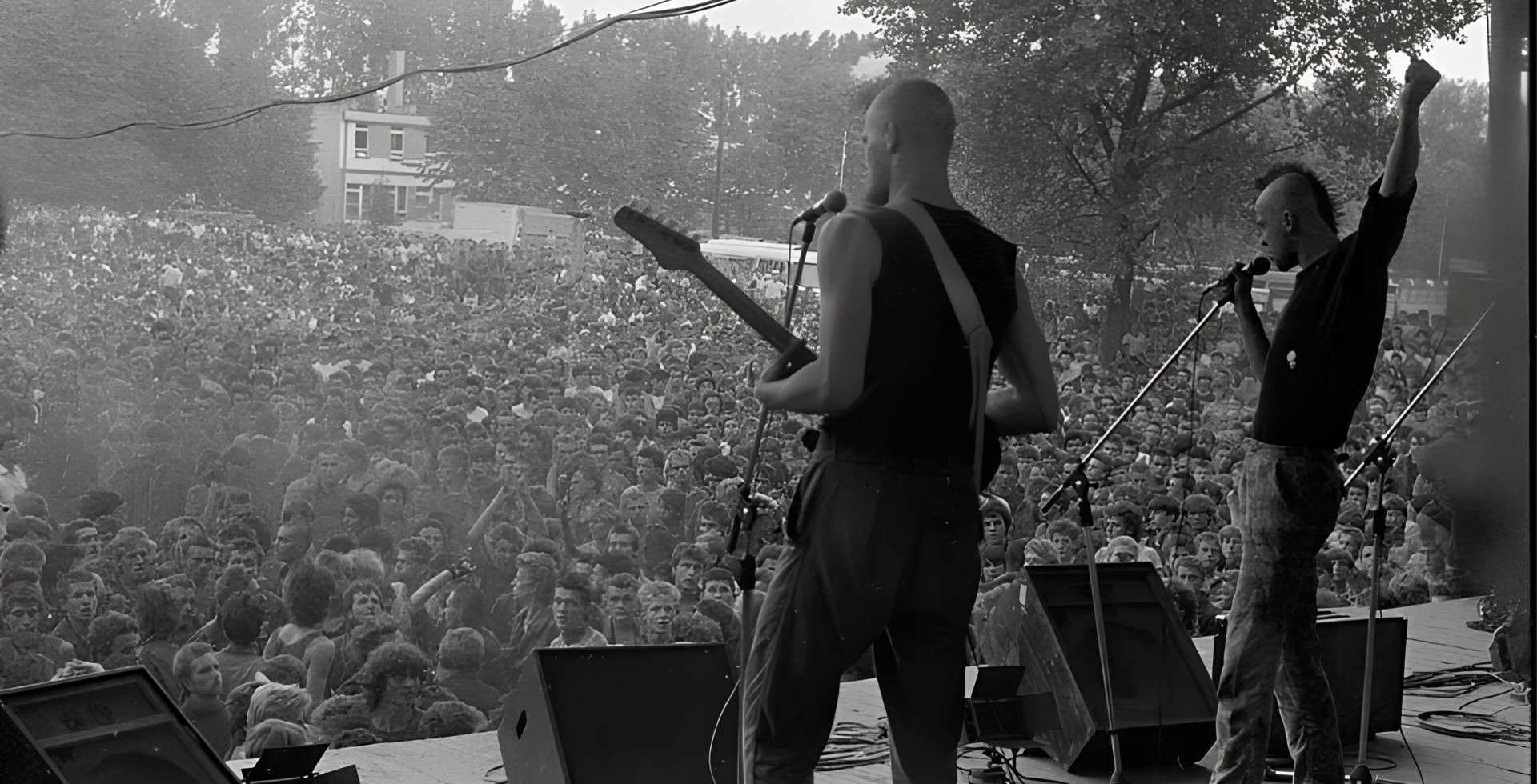 Czarno-białe zdjęcie z koncertu punkowego widziane zza pleców muzyków na scenie. Wokalista z irokezem śpiewa do mikrofonu z uniesioną pięścią, a obok stoi gitarzysta. Przed sceną bawi się ogromny, gęsty tłum publiczności.